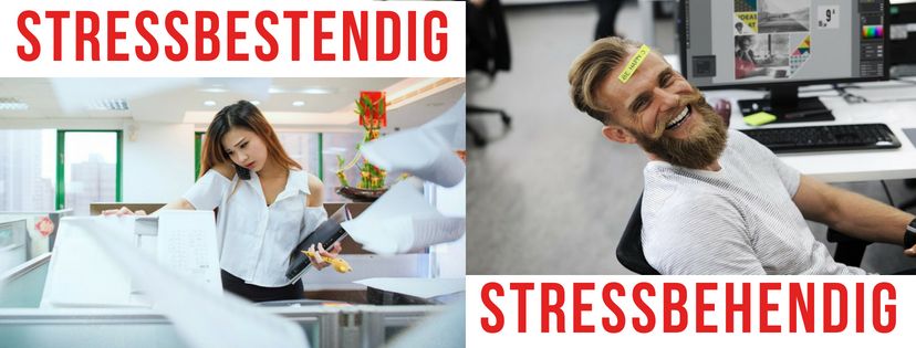 Stressbestendig of liever Stressbehendig?